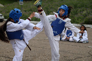 IMG_9910.JPG